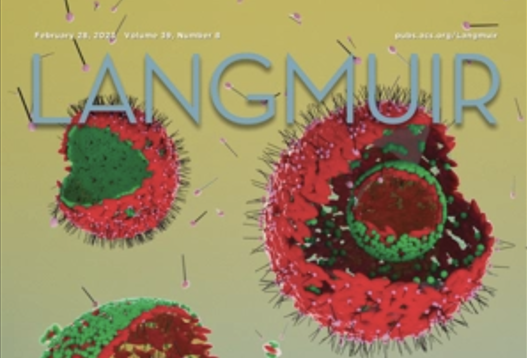 Langmuir